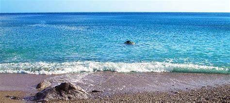 Beaches of Amorgos - Aegialis Hotel & Spa Amorgos