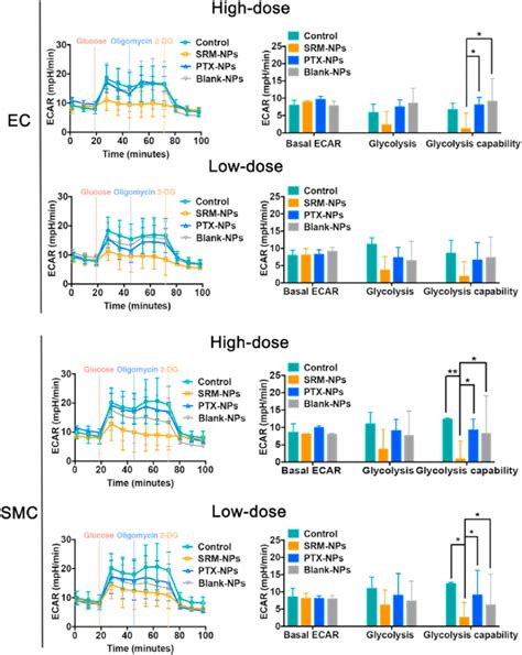 Effects On Cell Glycolysis Of Blank Nps Srms Nps And Ptx Nps Under Download Scientific