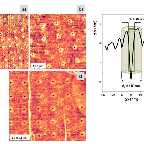 Afm Images A B And C Show Representative Examples Of The