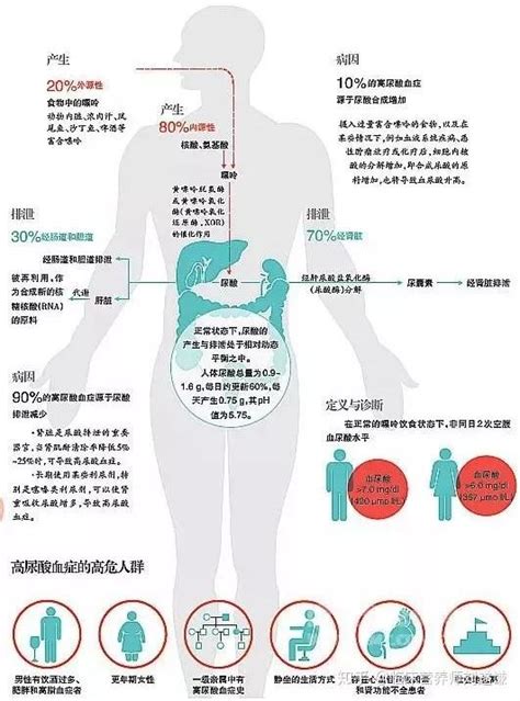 关于嘌呤尿酸与痛风大多数人还在误解豆制品 知乎