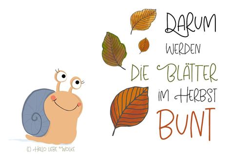 Schneckelinchen Wei Warum Werden Bl Tter Im Herbst Bunt Herbst Im