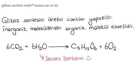 glikoz sentezi nedir kısaca az ve öz Eodev