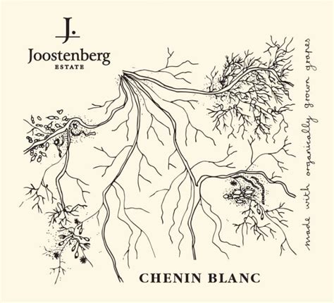 Chenin Blanc J Joostenberg Skurnik Wines Spirits