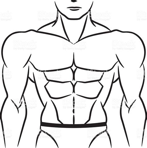 Abdomen Drawing At Explore Collection Of Abdomen