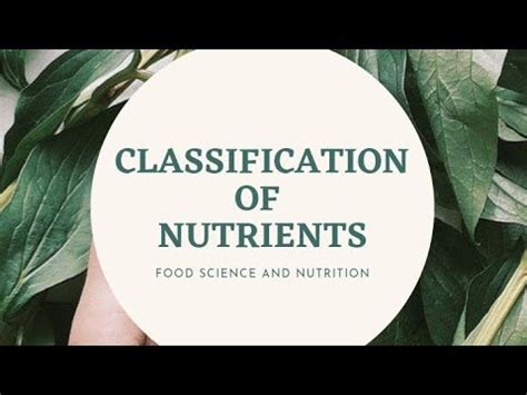 Classification Of Nutrients Foodscience Foodtechnology Chemistry