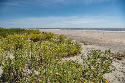 Best Beaches In Louisiana Touropia Travel