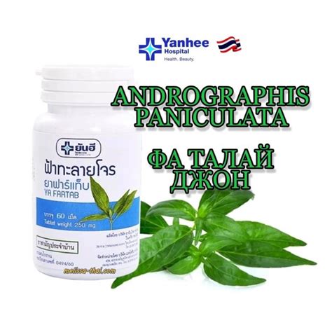 Фа Талай Джон - Андрографис Yanhee Hospital Ya Fartab Andrographis ...