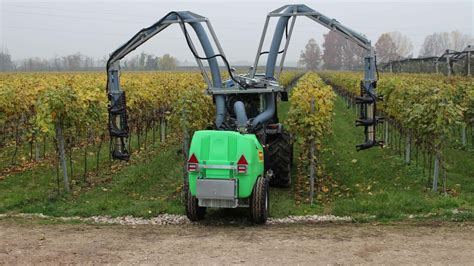 Vendemmia 2023 la più scarsa degli ultimi 76 anni