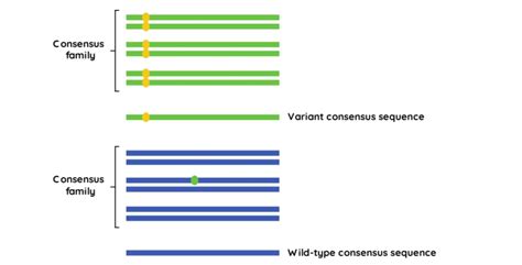 Unique Molecular Identifiers Umis Nonacus