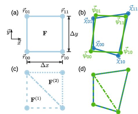 Non Affine Deformation Of A Single 2d Voxel A The Undeformed Voxel