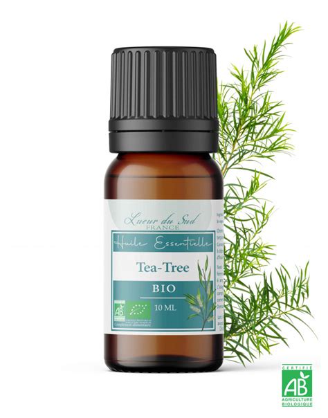 Huile Essentielle Tree Tea Okgo Net