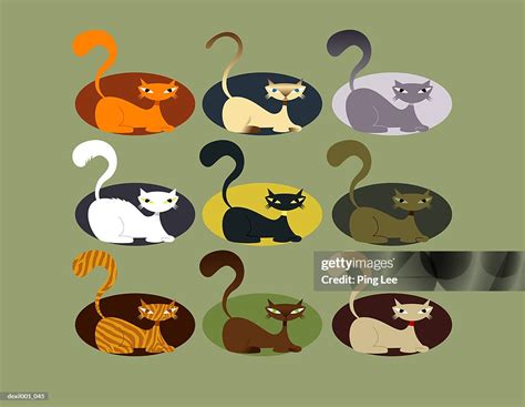 Nine Cats In Various Colors High Res Vector Graphic Getty Images