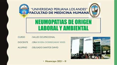 NEUMOPATIAS DE ORIGEN LABORAL Y AMBIENTAL Mishelle Chavez UDocz