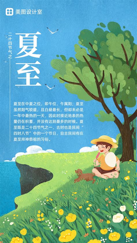 小清新插画夏至节气科普海报 美图设计室