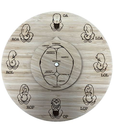 Fetal Position Tool Cephalic