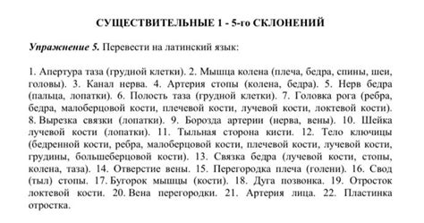 Ответы Mail: Перевести на латинский язык Переводчик переводить не ...