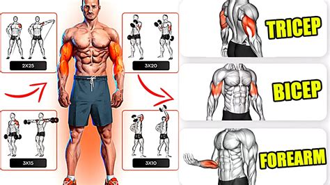 Triceps And Biceps Workout