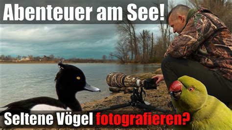 Seltene Vögel am See fotografieren Wander und Fotoausflug in ein