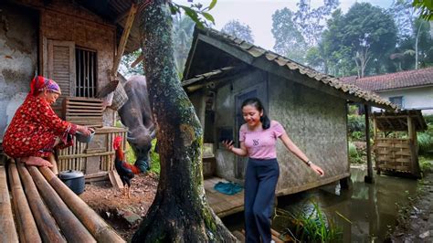 Wah Seenak Ini Suasana Damai Di Desa Tentram Hidup Di Kampung Indah