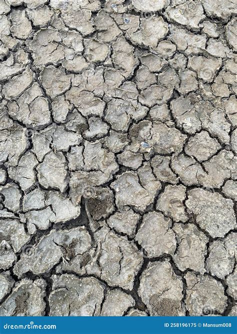 Cracked Mud On The Ground Stock Image Image Of Natural 258196175