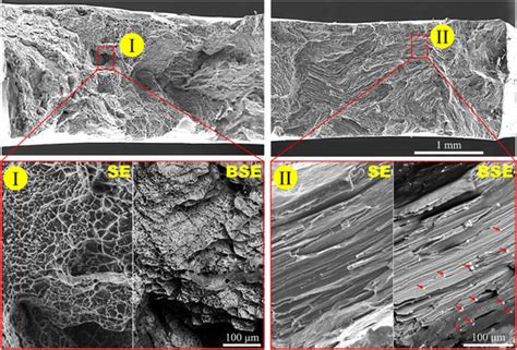 Sesem Photomicrographs Of The Fracture Surface For Annealed Az