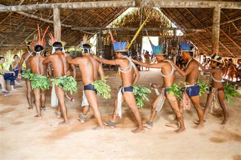 Dal Terminal Crociere Di Manaus Punti Salienti Della Foresta Pluviale