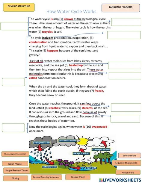 Water Cycle With Explanation