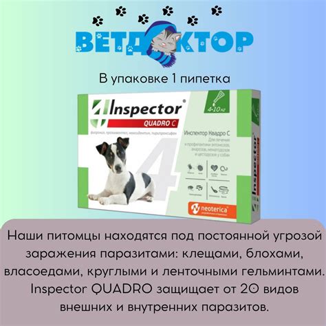 Inspector Quadro C капли от блох, клещей и гельминтов для собак 4-10 кг ...