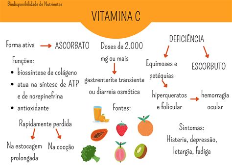 Mapa Mental Sobre Vitamina Edulearn Porn Sex Picture