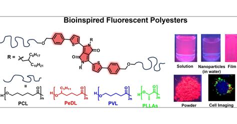 Influence Of The Polymer Matrix On The Optical Properties Of Bioinspired Fluorescent Polymers