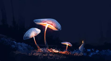 Anime Girl With Mushroom 5k Wallpaper Hd Artist 4k Wallpapers Images