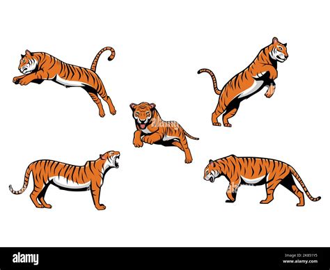 Set Of Tigers Vector Cartoon Illustration Mascot Logo Isolated On A