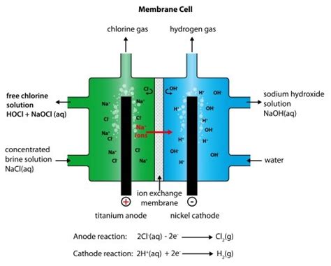 Chemistry of Hypochlorous Acid