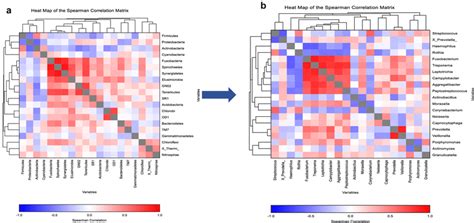 The Heat Map Of Spearmans Correlation Matrix At Phylum A And Genera Download Scientific