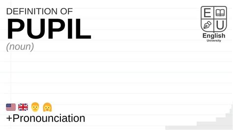 Pupil Meaning Definition And Pronunciation What Is Pupil How To Say