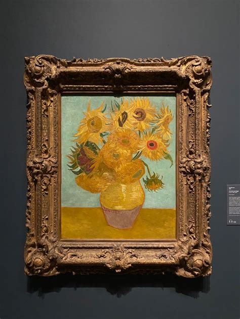 Van Gogh’s Sunflowers Van Gogh Flower Paintings Vincent Van Gogh Sunflower Painting Van Gogh