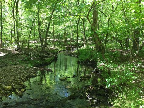 Is Hot Springs Village Arkansas Your Retirement Sweet Spot The Leaf