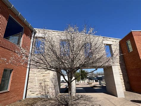 Wylie Recreation - Due to inclement weather and poor road conditions