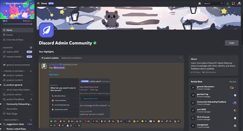 Beta Del Inicio Del Servidor Discord