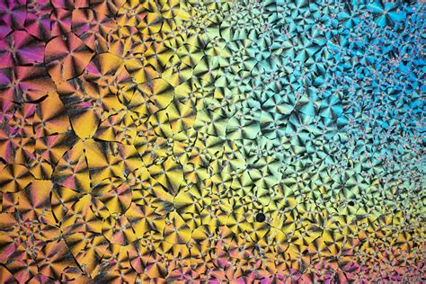 Niacinamide Polarised Light Micrograph Stock Image C