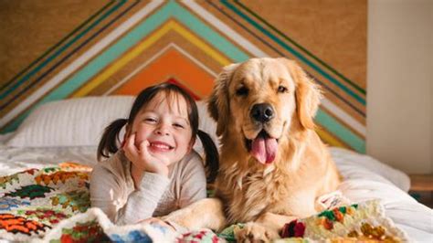 Bobi Angeblich ältester Hund der Welt verliert seinen Rekord Titel