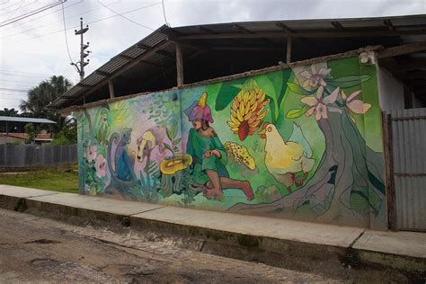 Streetart Tamiki Moyobamba Peru Barbara Picci