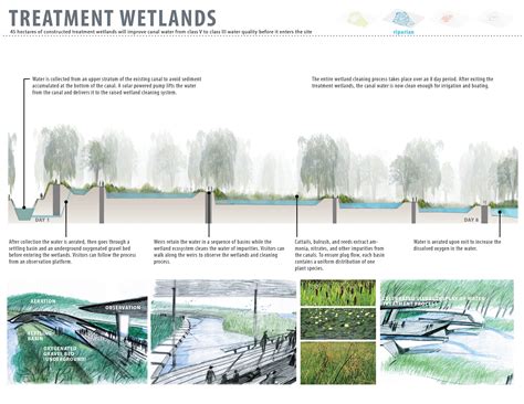 Image result for water FILTRATION STAGES WETLAND | Landscape