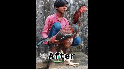 Aseel Before And After Video 🔥☠️😎 Viral Shorts Ytshorts Aseel Youtube