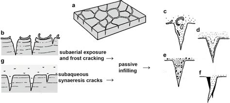 Shrinkage Crack Polygon SpringerLink