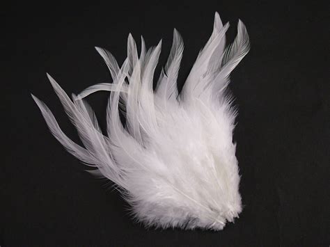 Loose Saddle Hackle Chicken Feathers Jaffe
