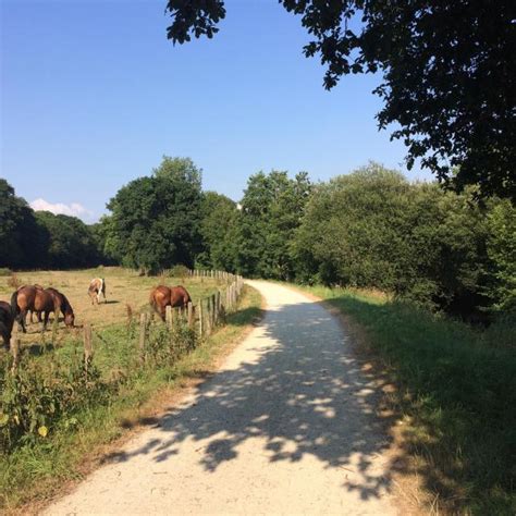 Gr Ne Wege Coutances Tourisme Organisez Vos Vacances Dans La Manche