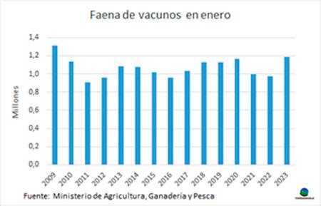 Argentina La Faena De Vacunos En Enero Fue La M S Abultada Desde