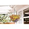 Amazon HOMIEBUDS 2 Pack Metal Hanging Planter Basket With Coco