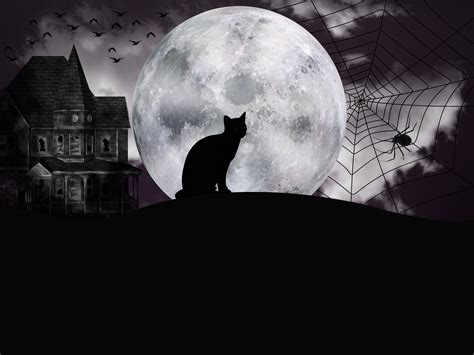 Banco De Imagens Dia Das Bruxas Night Of Witches Noite Gato